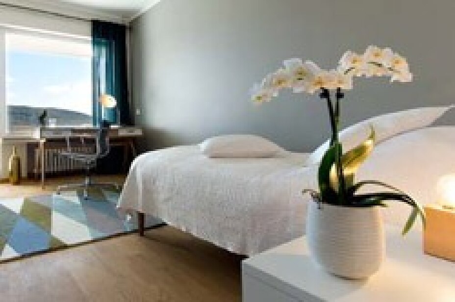 Die Umsichtige Welt der Suchttherapie in Österreich