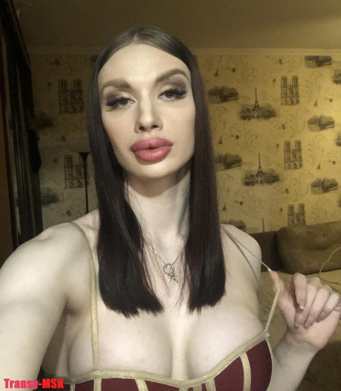 Транспортные услуги компании транс москва 1 Транспортные услуги компании транс москва 1