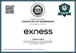 Explore the Benefits of Using Exness Web Platform for Trading