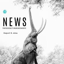 Unlocking the Potential of B2B Partnerships