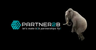 Unlocking the Potential of B2B Partnerships