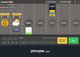 Exploring the Excitement of Chicken Road Casinos 859564644